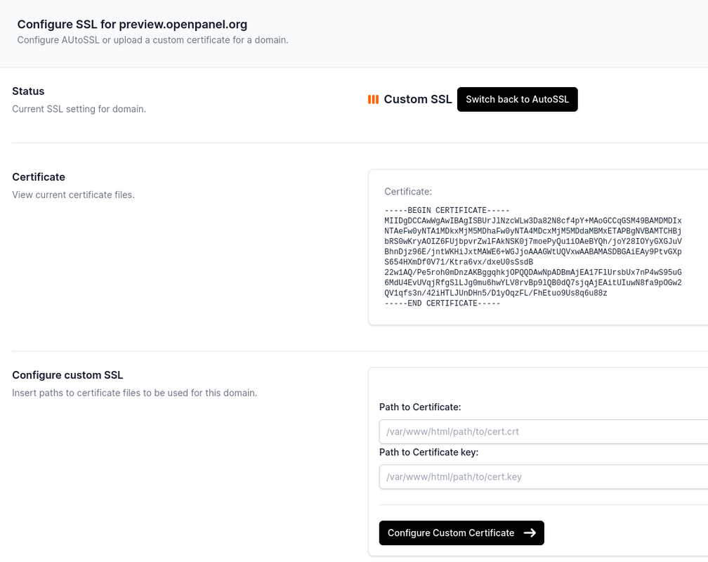 screenshot of domain with custom ssl